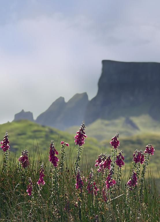 Home Farm Apartments Portree Buitenkant foto